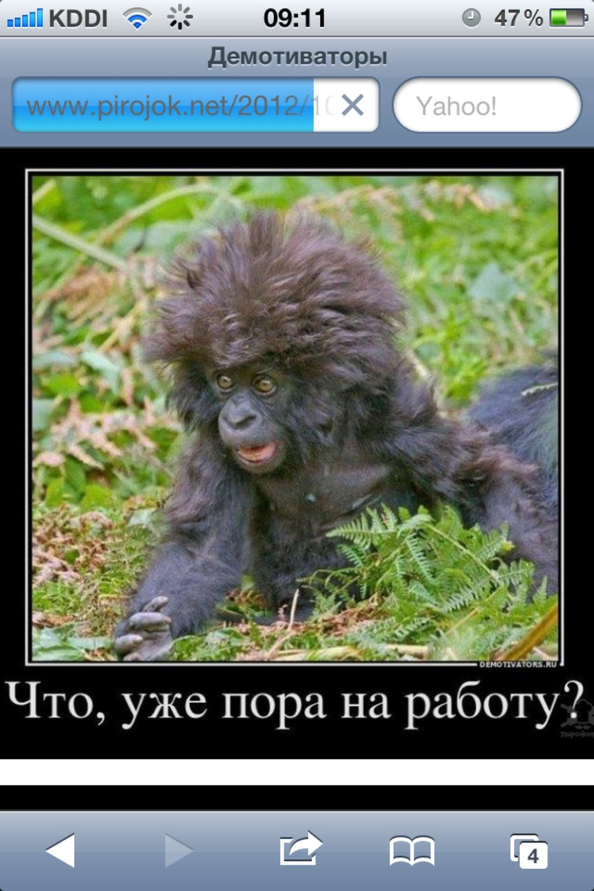 Обезьянки демотиваторы