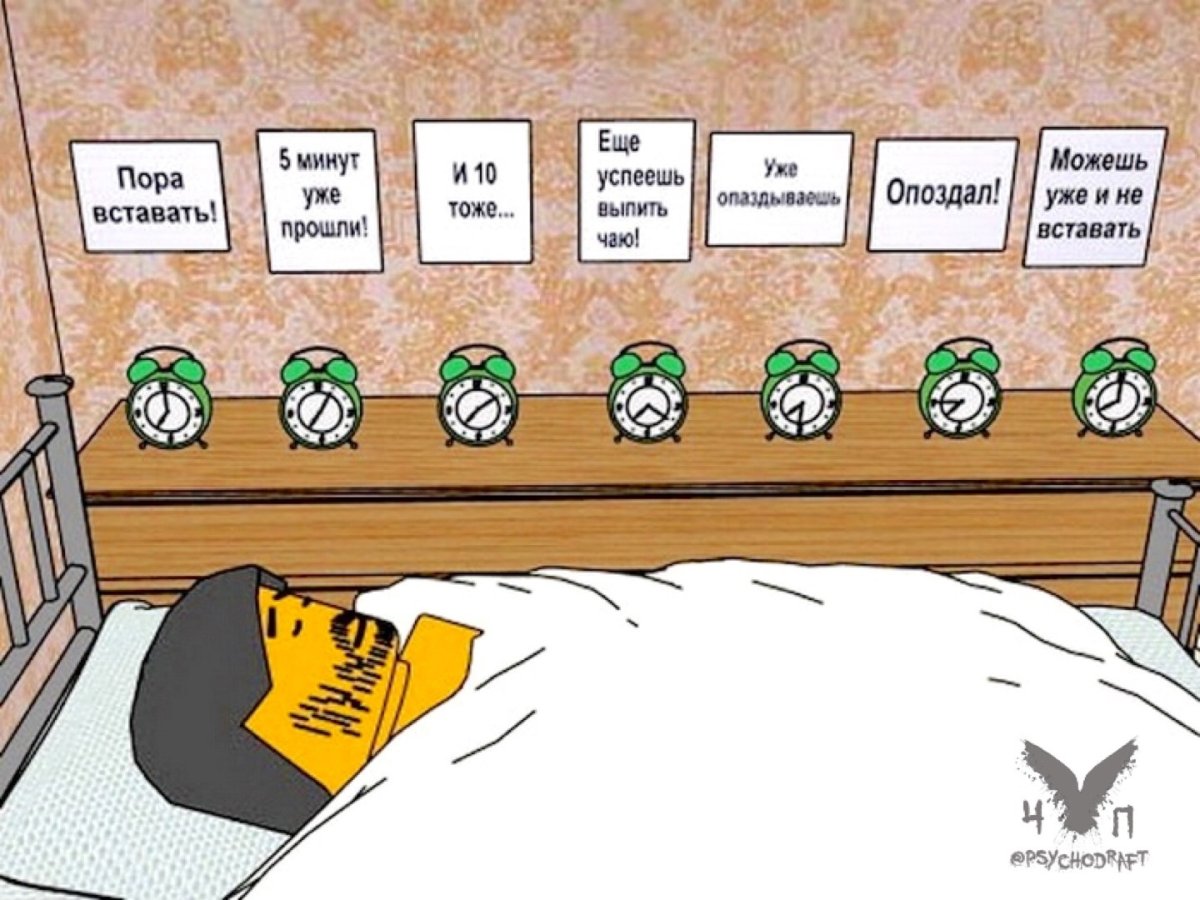 Я проснулась прикольные