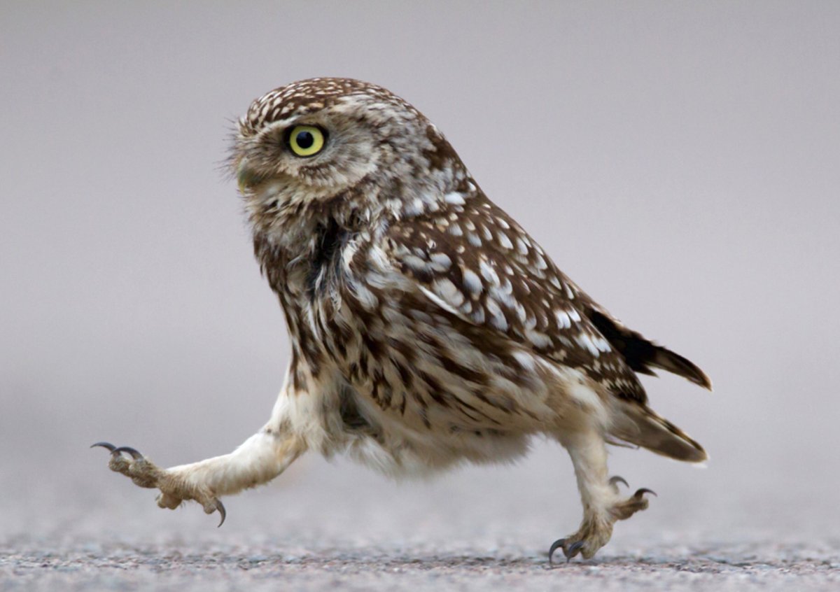 Уход с работы вечером в пятницу