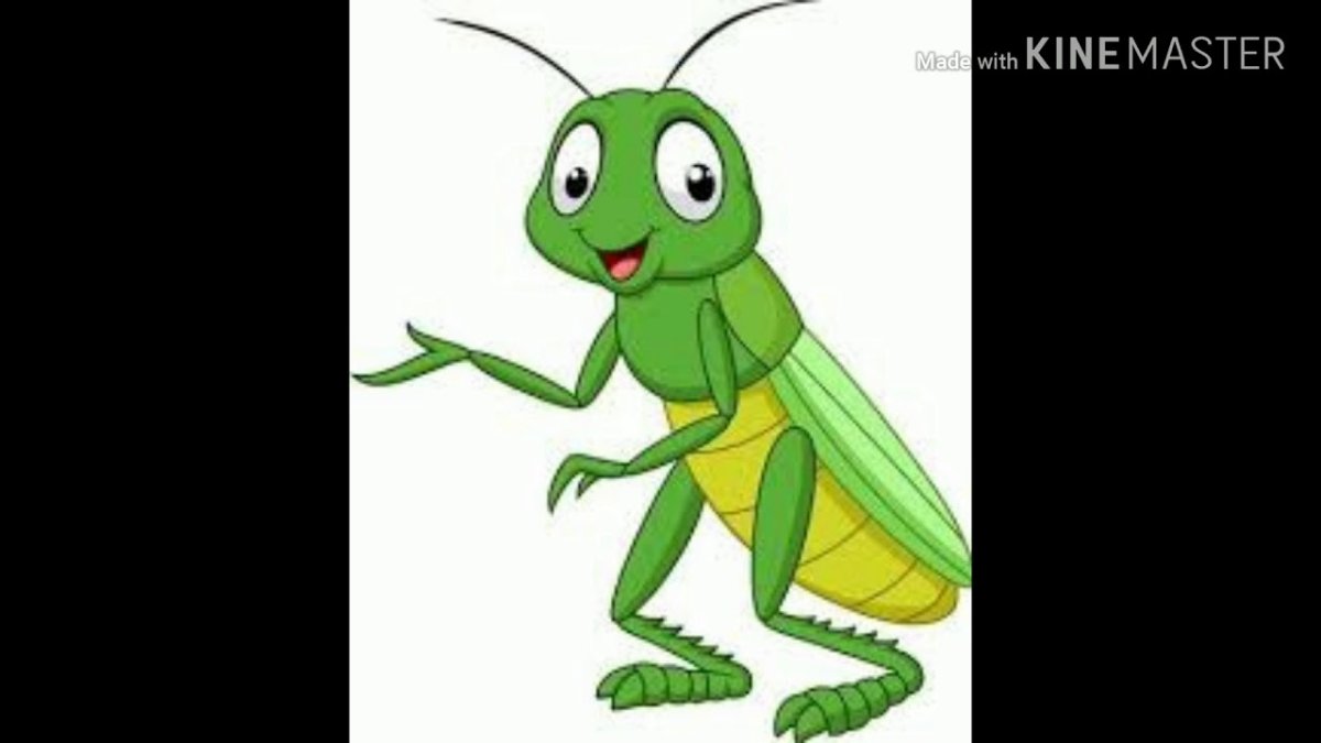 Сверчок для детей