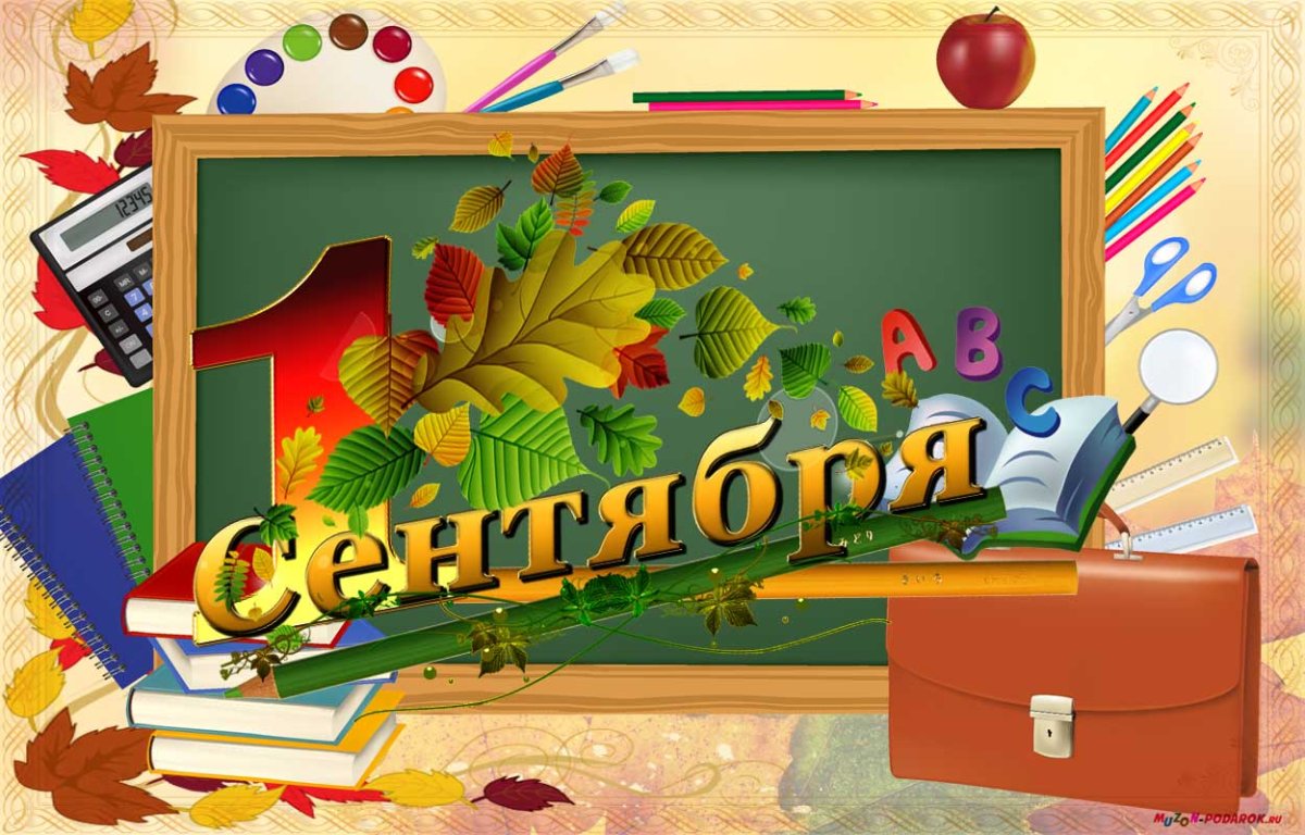 С днем знаний юмор