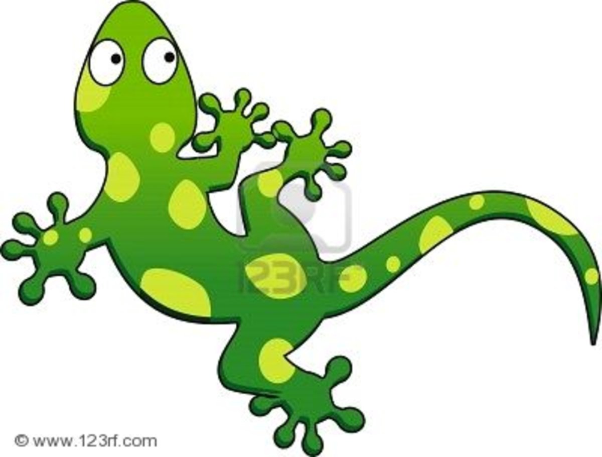 Тематический комплект ящерица для детей