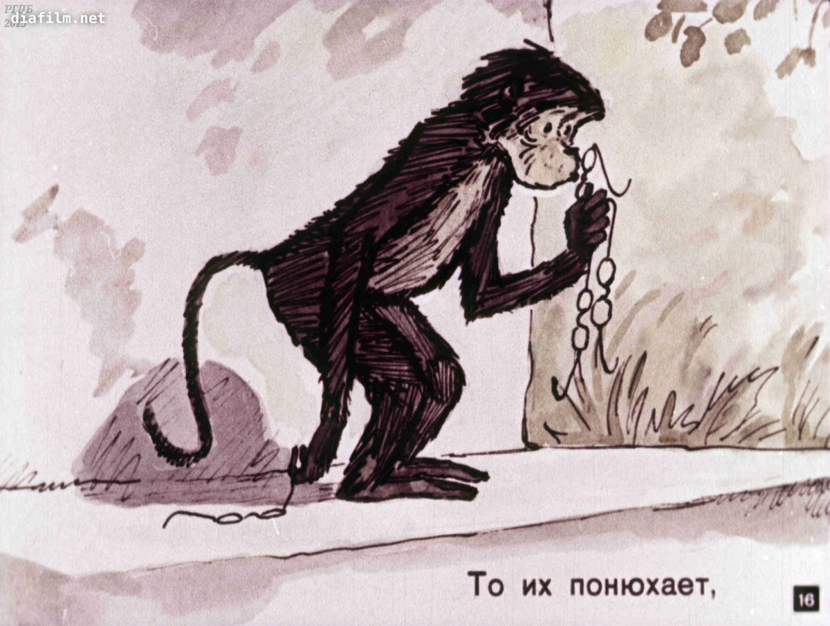 Карикатуры на мартышек