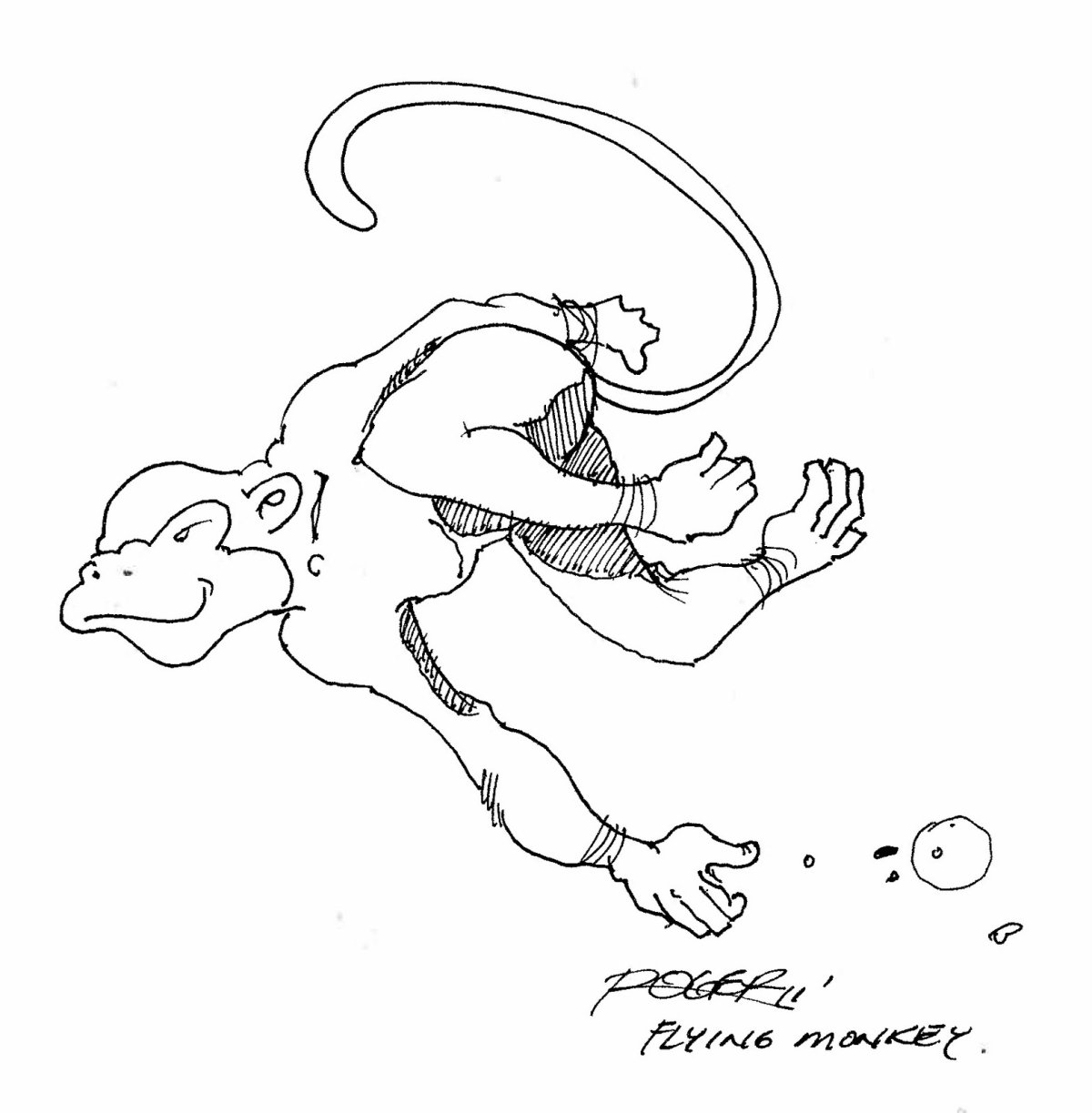 Раскраска к рассказу Житкова про обезьянку