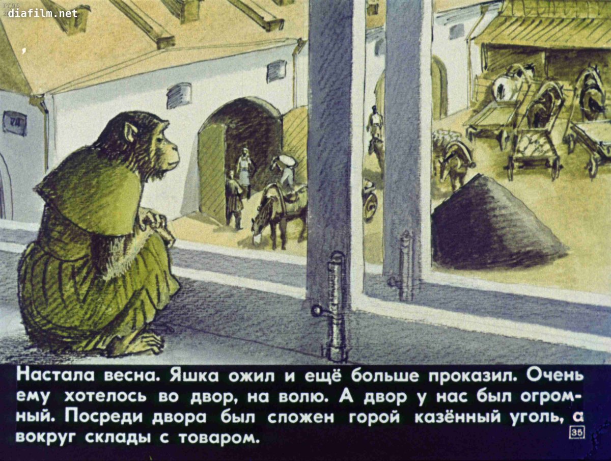 Борис Житков про обезьянку