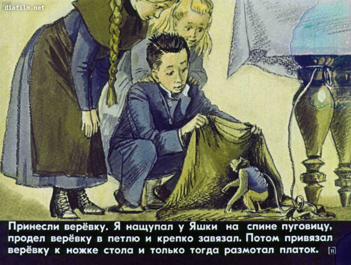 Почему слоны мультфильм 1980