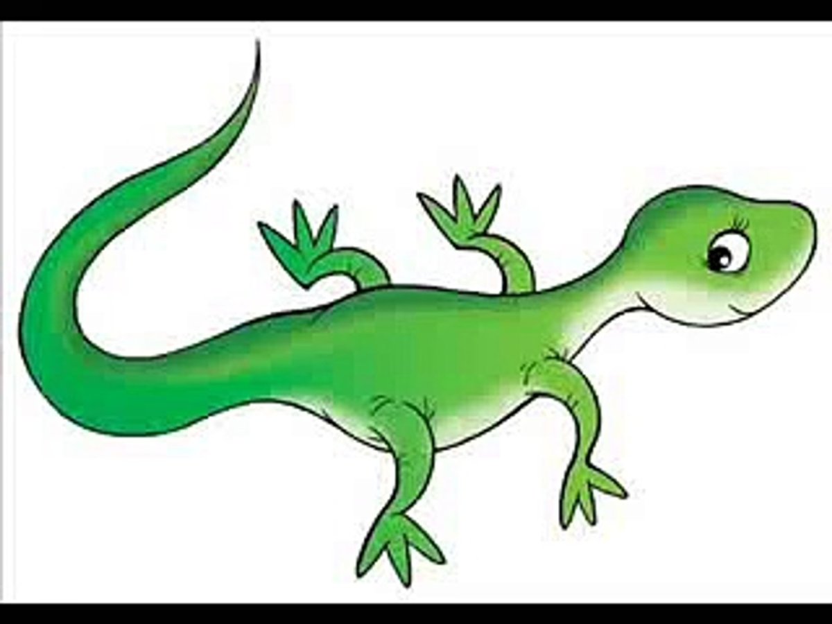 Ящерица Ауди кватро