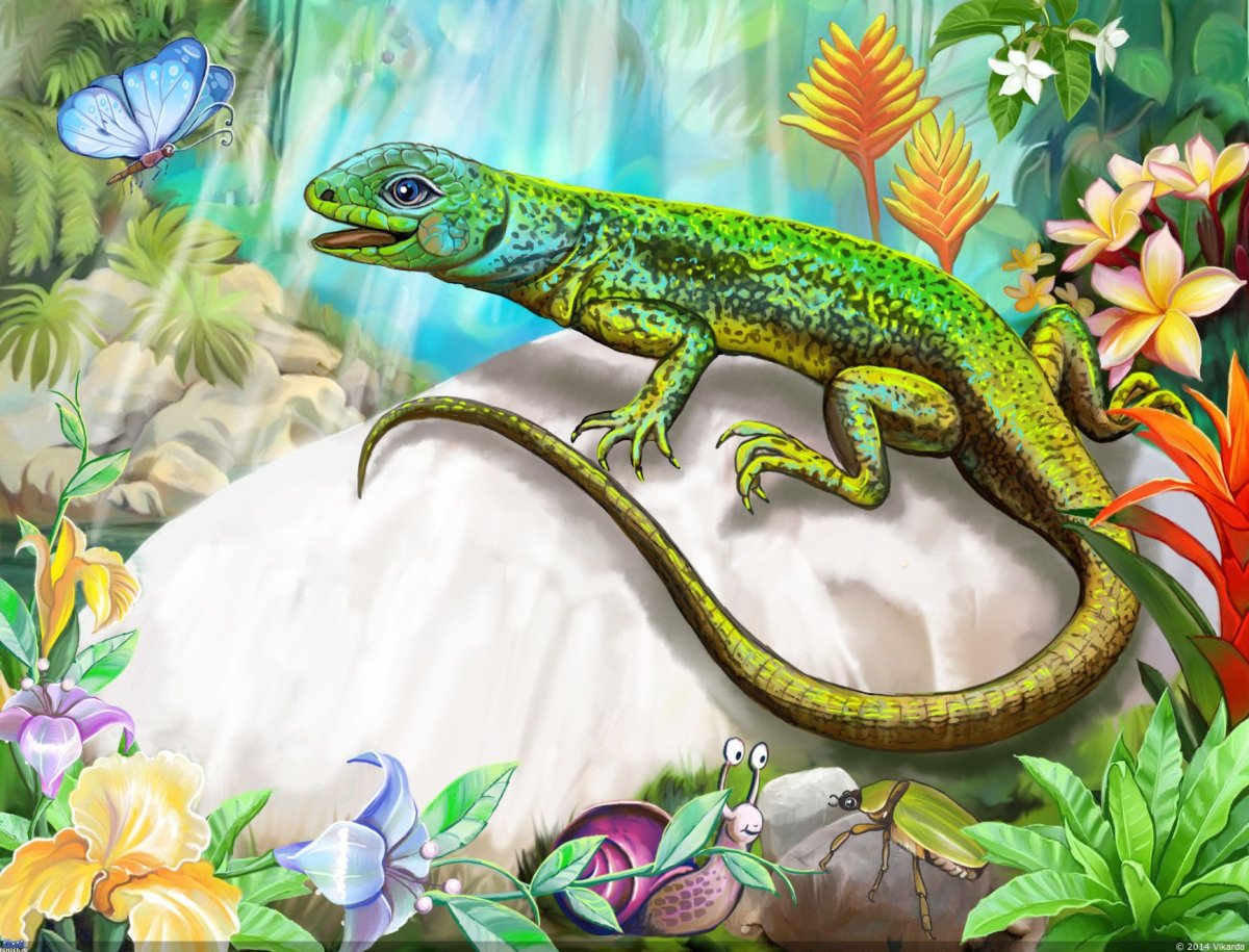 Мультяшные ящерицы