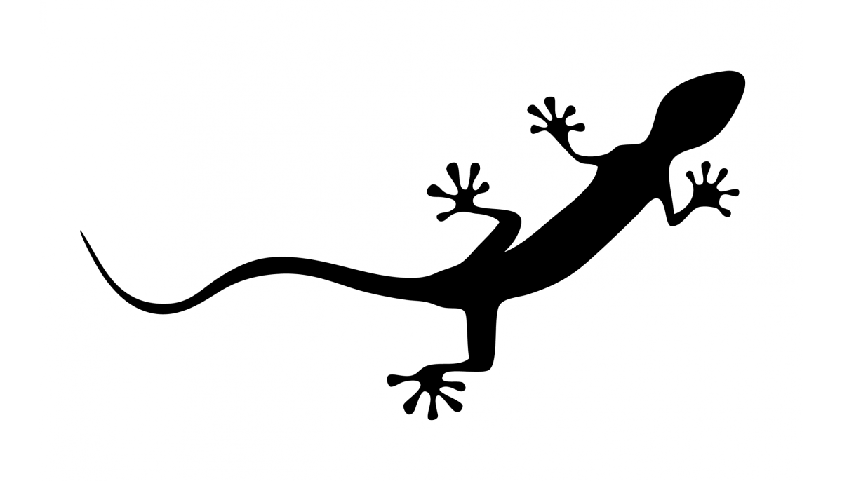 Ящерица с короной рисунок