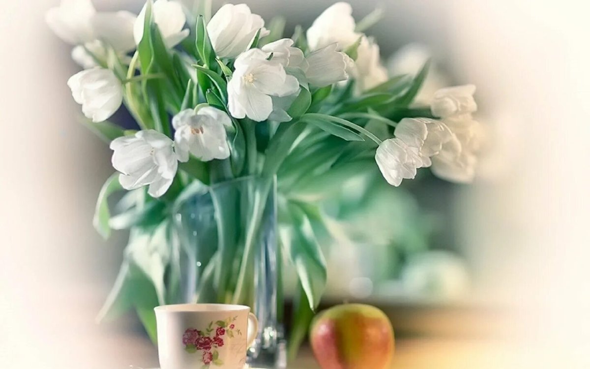 Доброе субботнее утро Весна