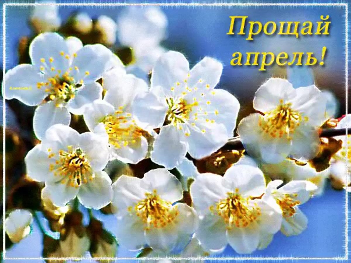 Прощай апрель