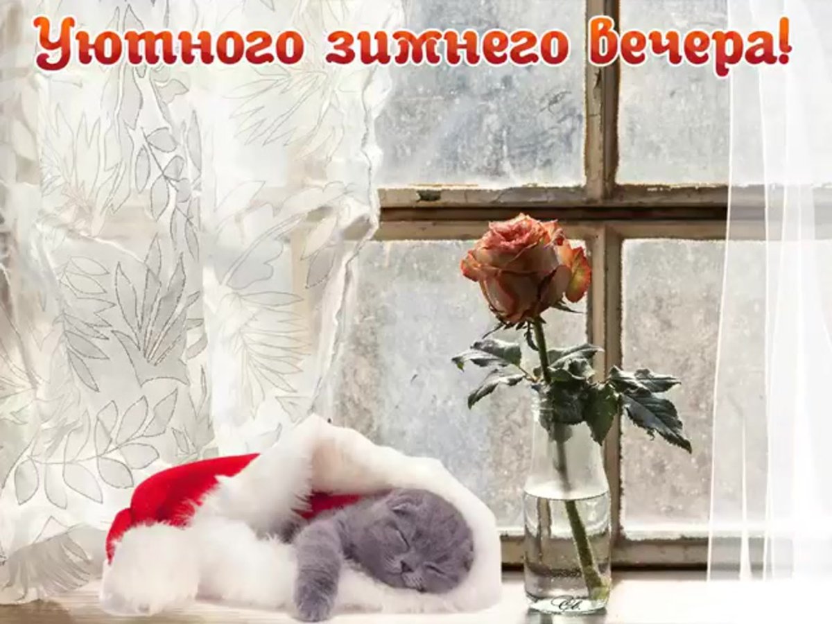 Уютного зимнего вечера с пожеланиями
