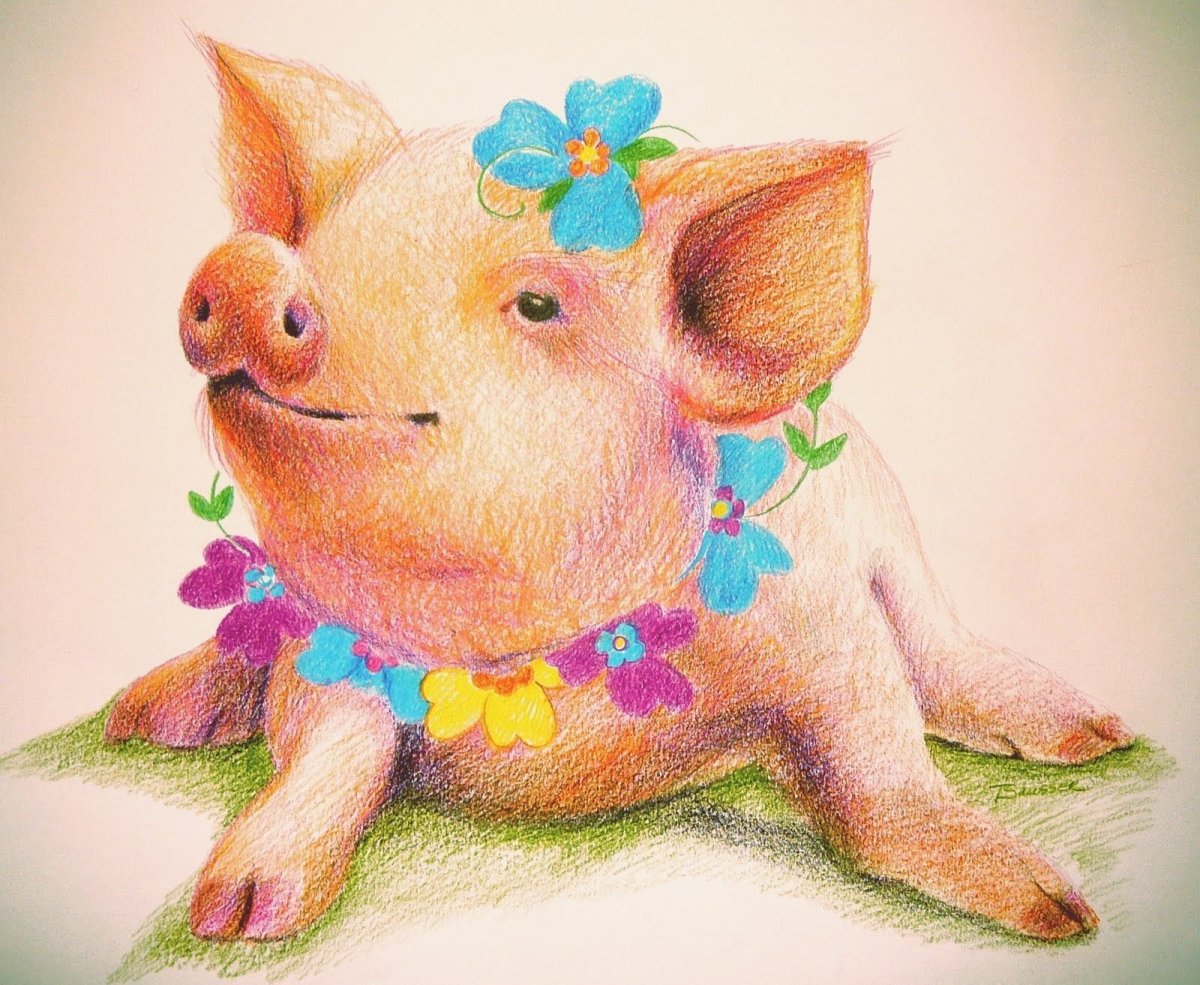 Свинья рисунок