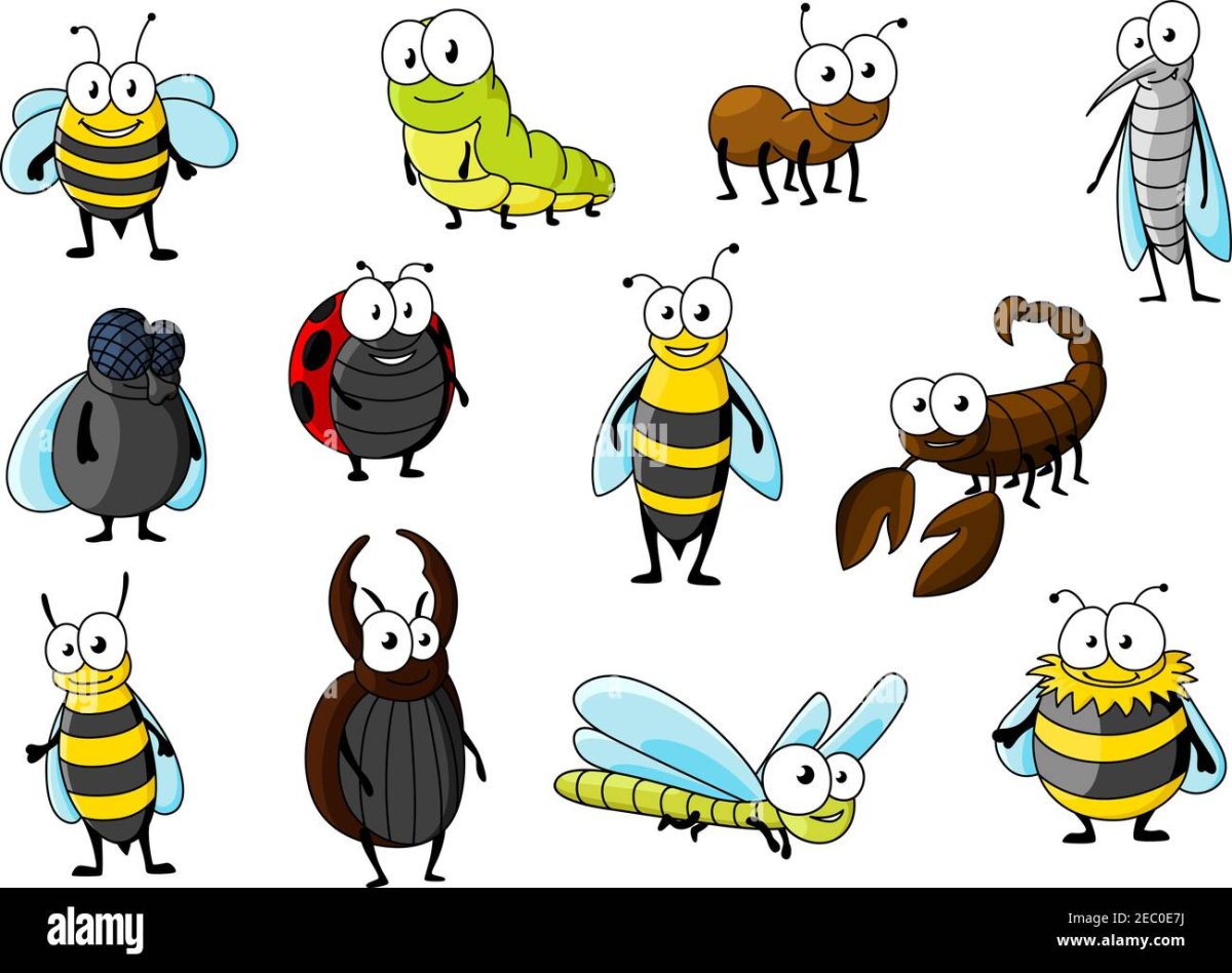 Веселые смешные насекомые рисунки