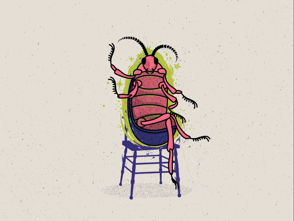 Человек-Жук рисунок