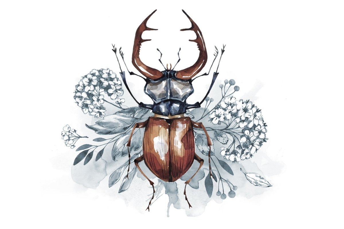 Жук акварелью
