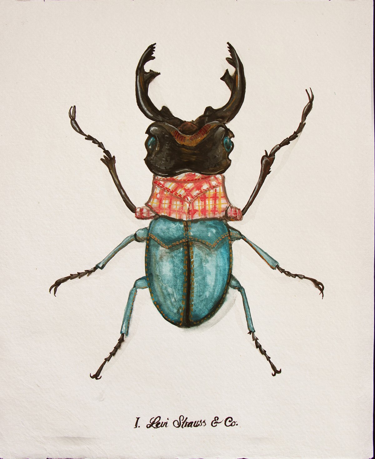 Наброски Жуков