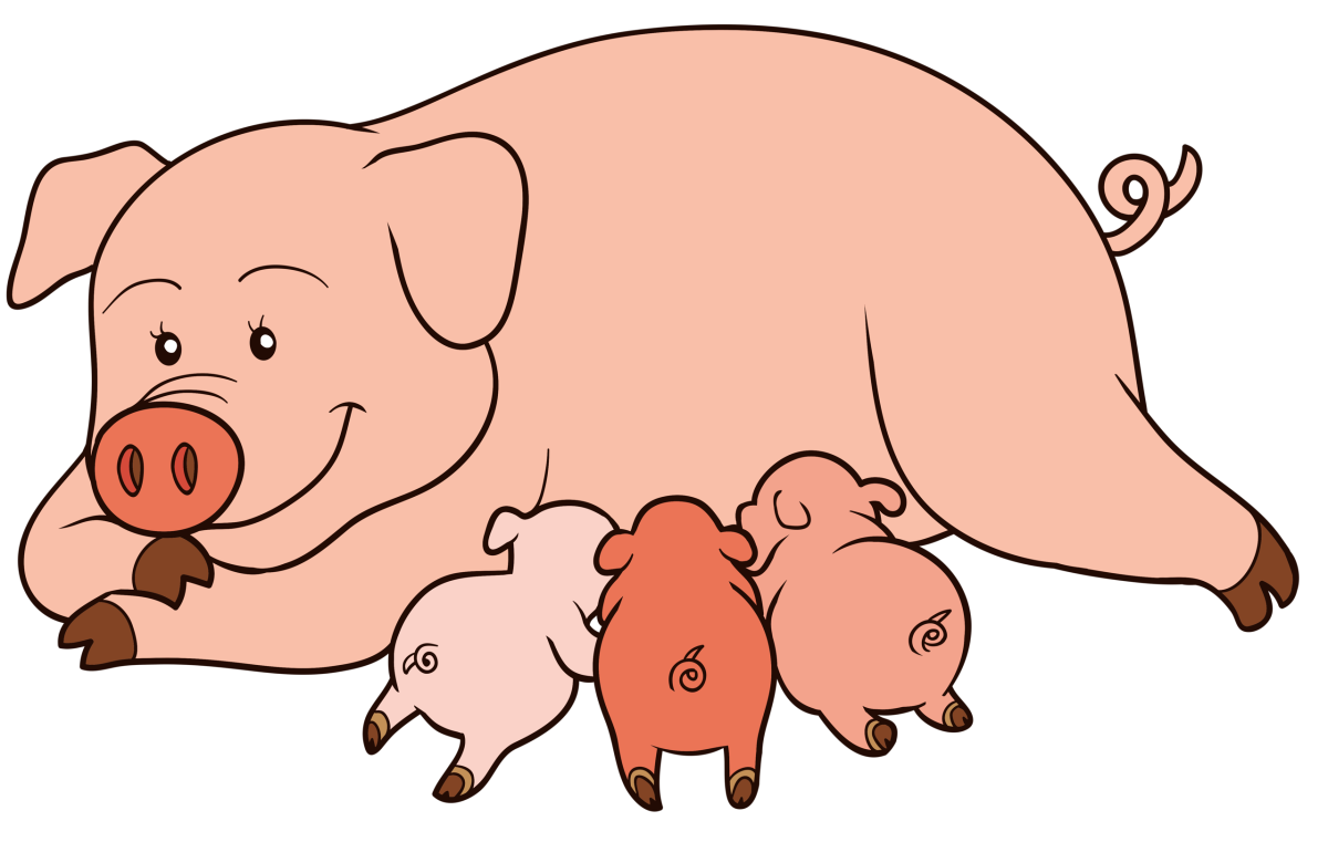 Свинья с поросятами