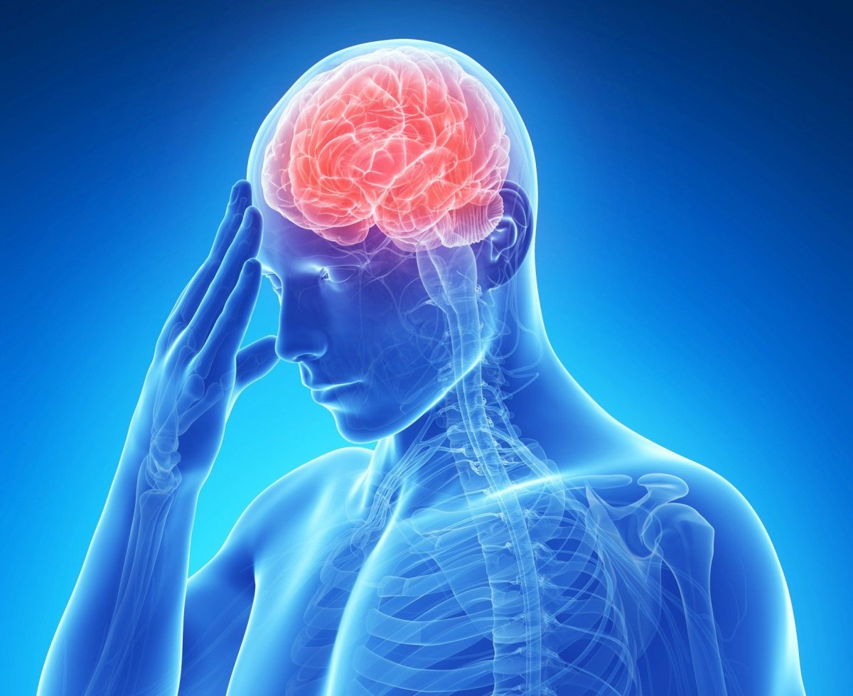 Мозг неврология