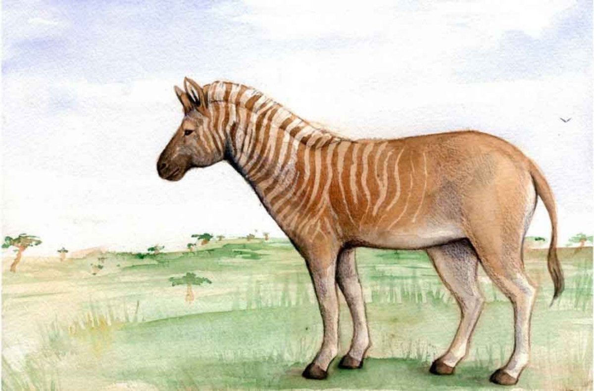 Вымирающие виды животных