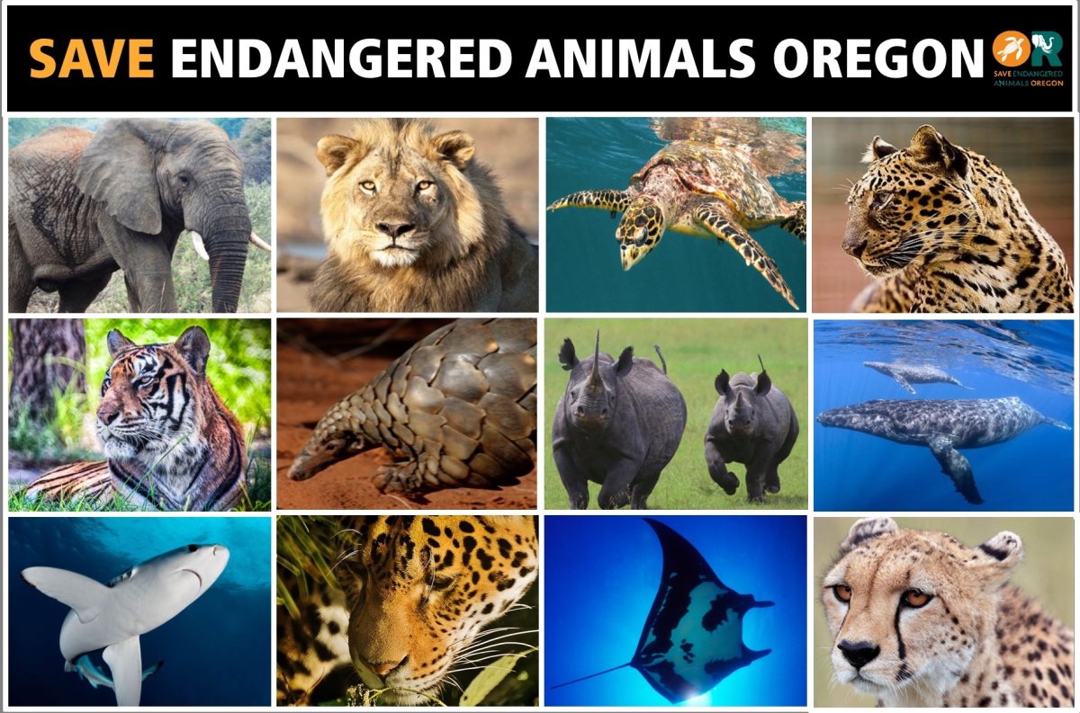 Снимки вымерших животных