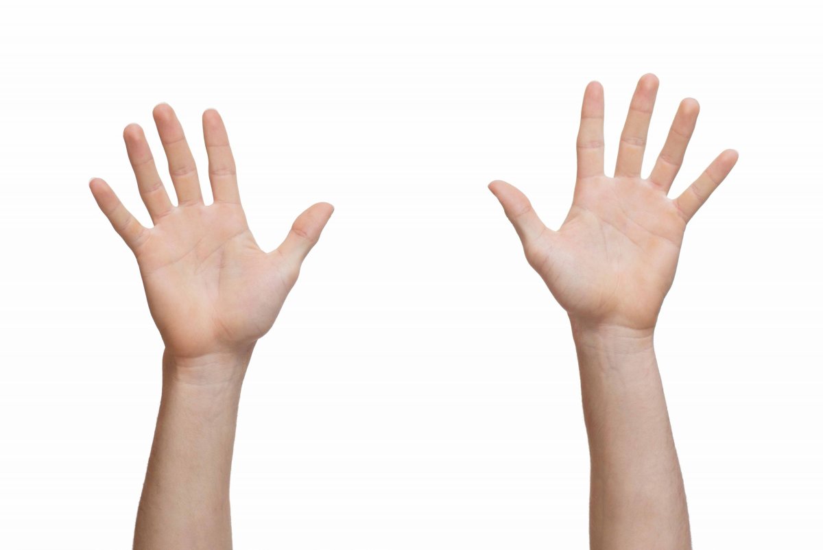 Поднятые две руки