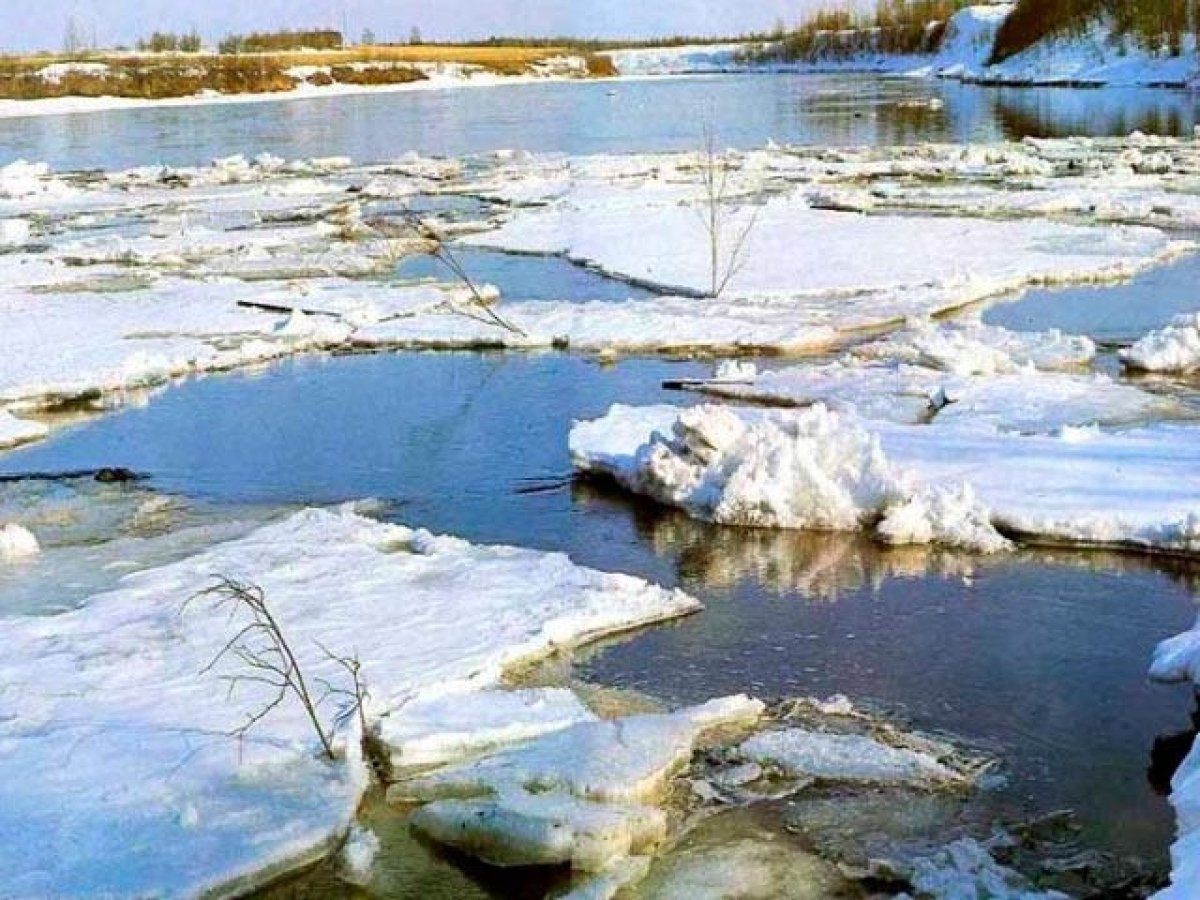 Весенние рисунки