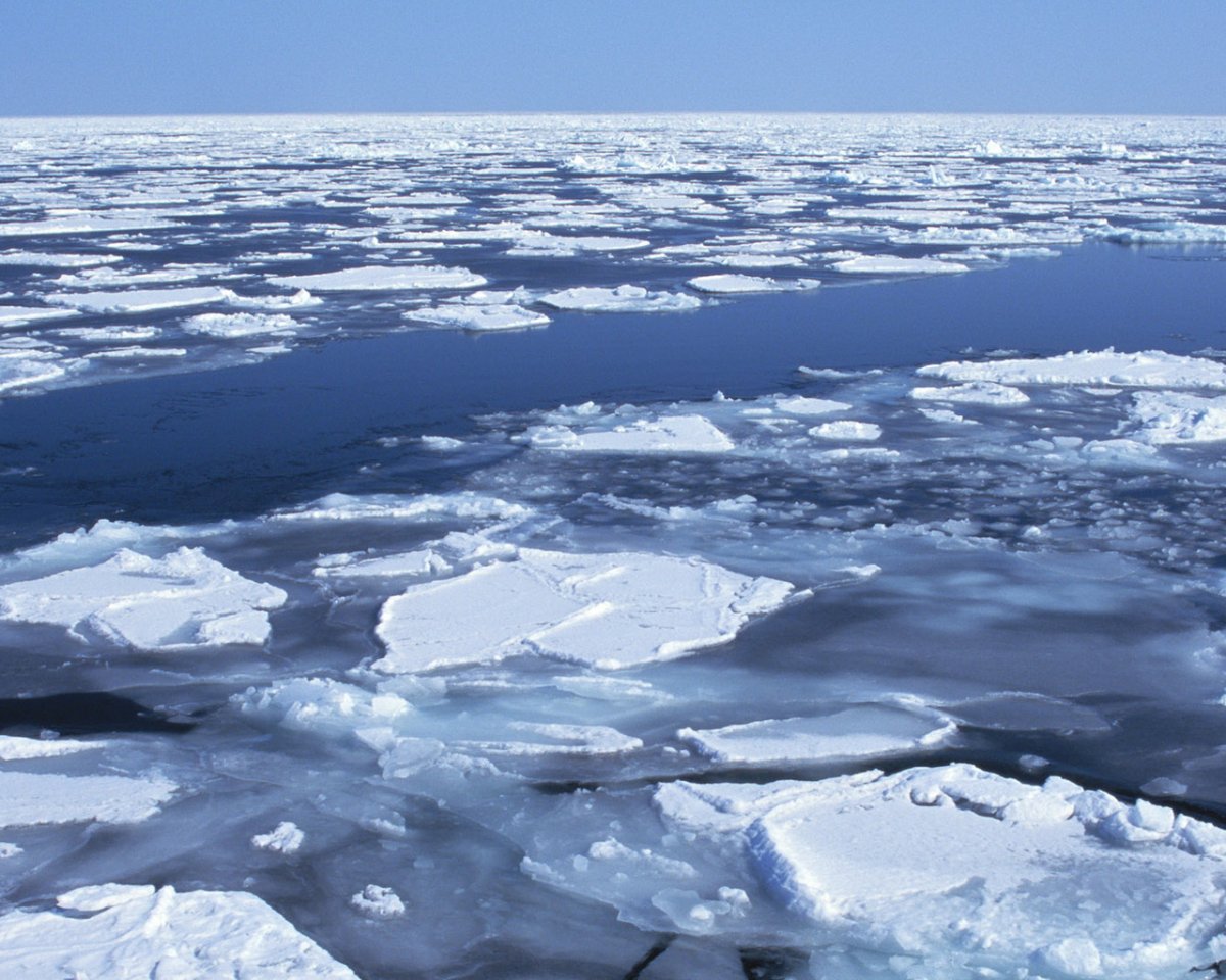 Шильдер Андрей Николаевич (1861 - 1919). "Пчельник"