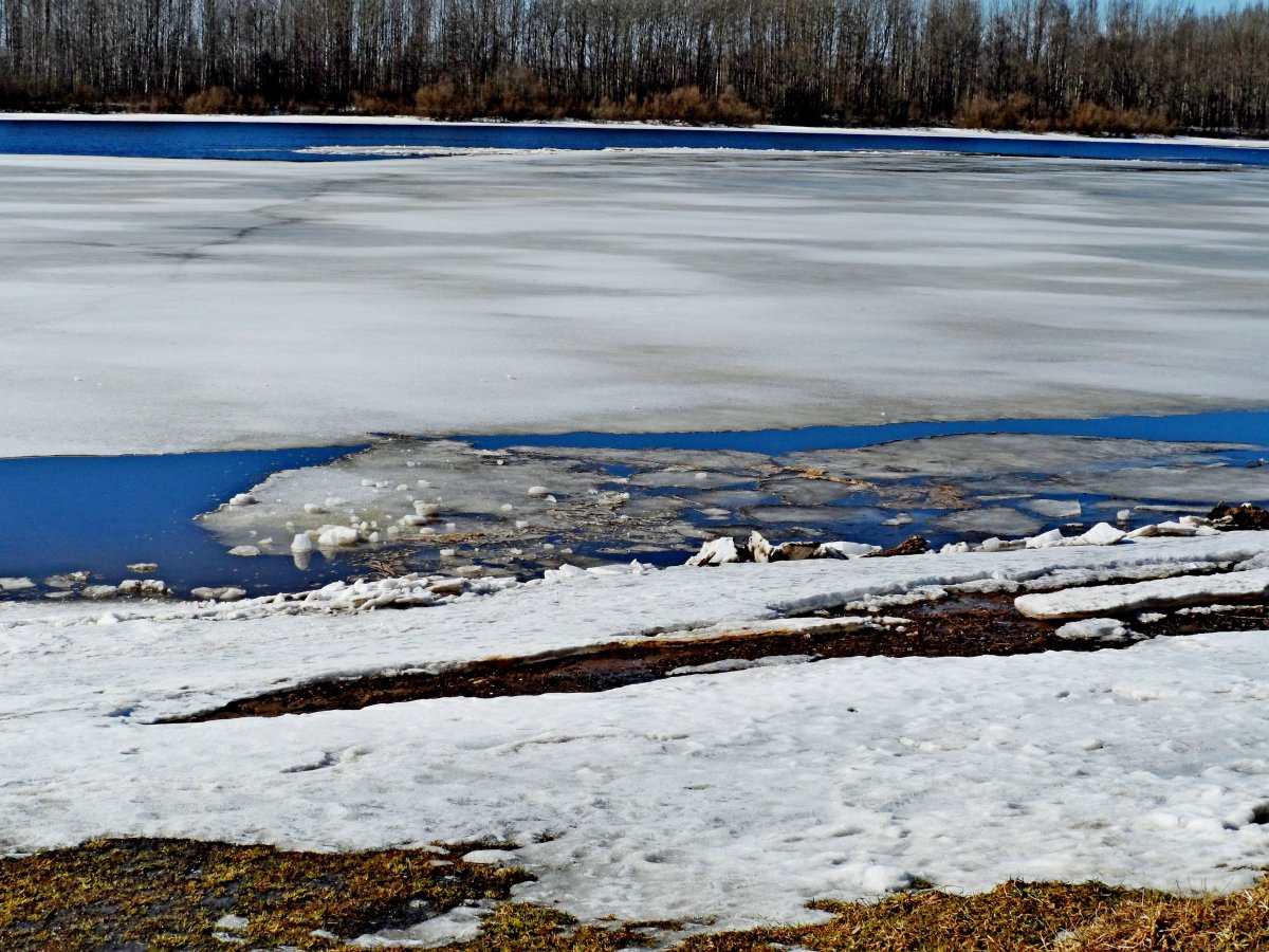 Ледоход из космоса