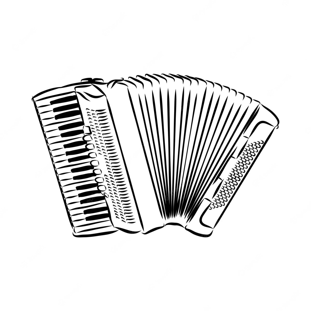 Аккордеон эскиз
