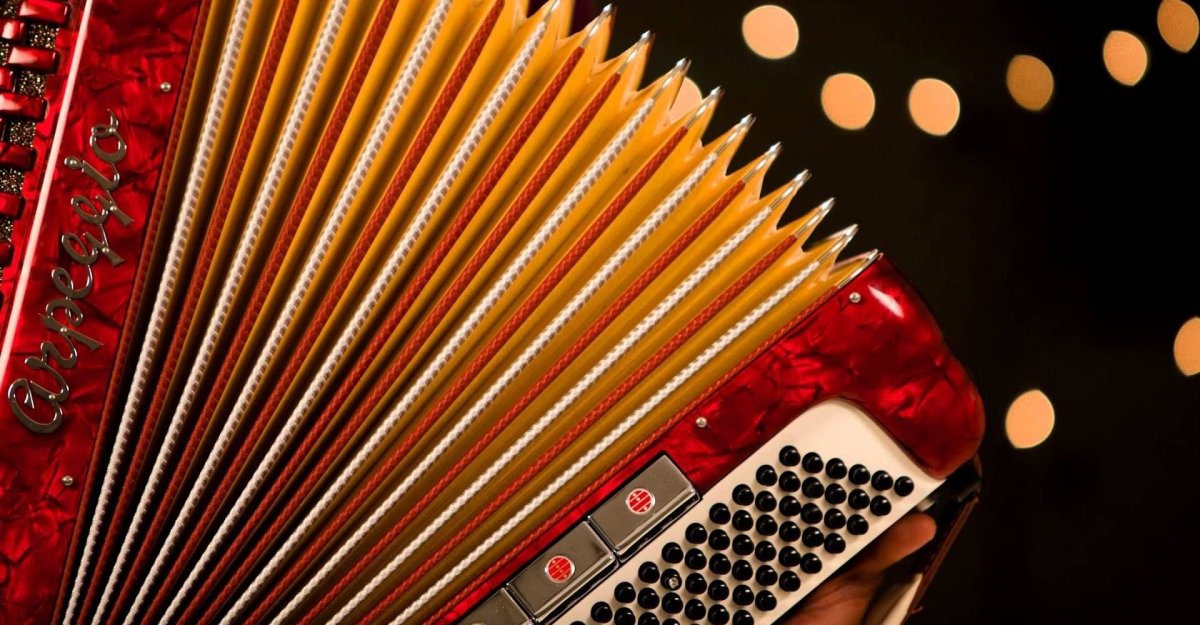 Красивый баян