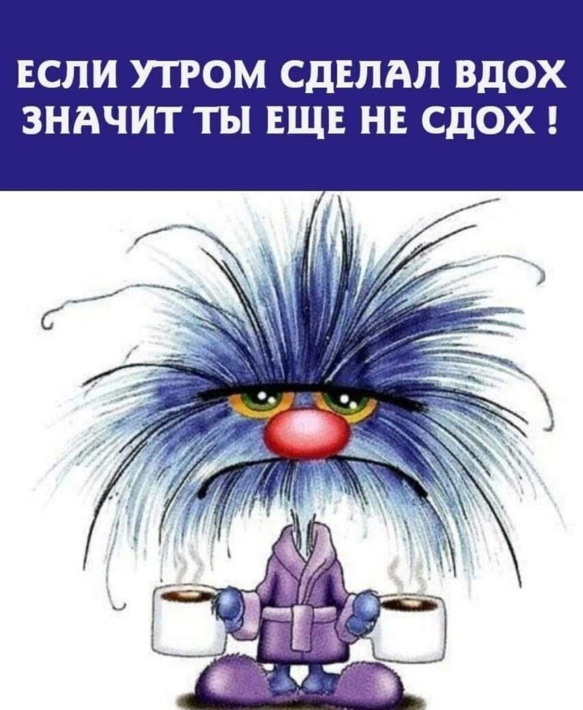 Сонная Сова