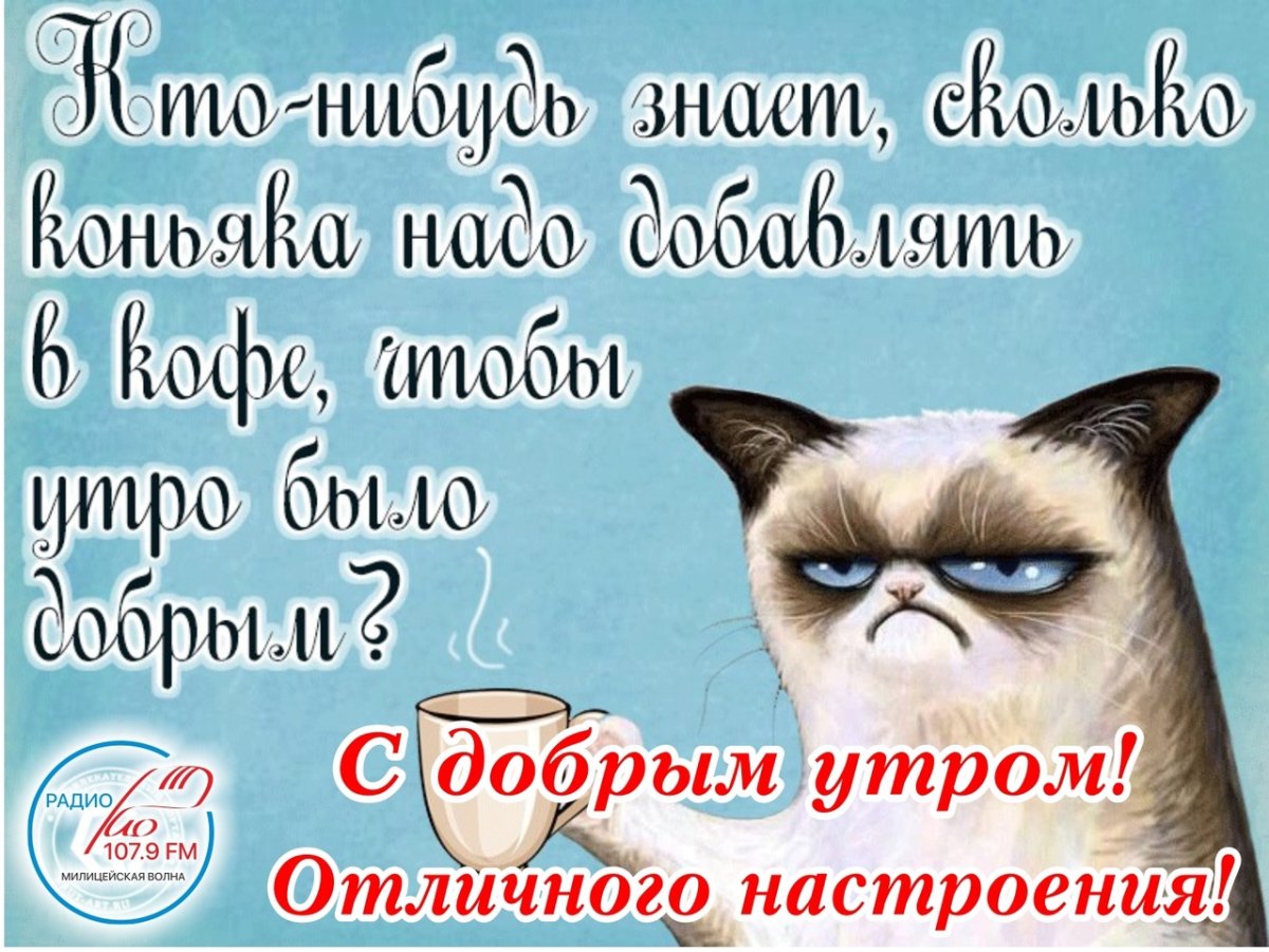 Красивые картинки с юмором