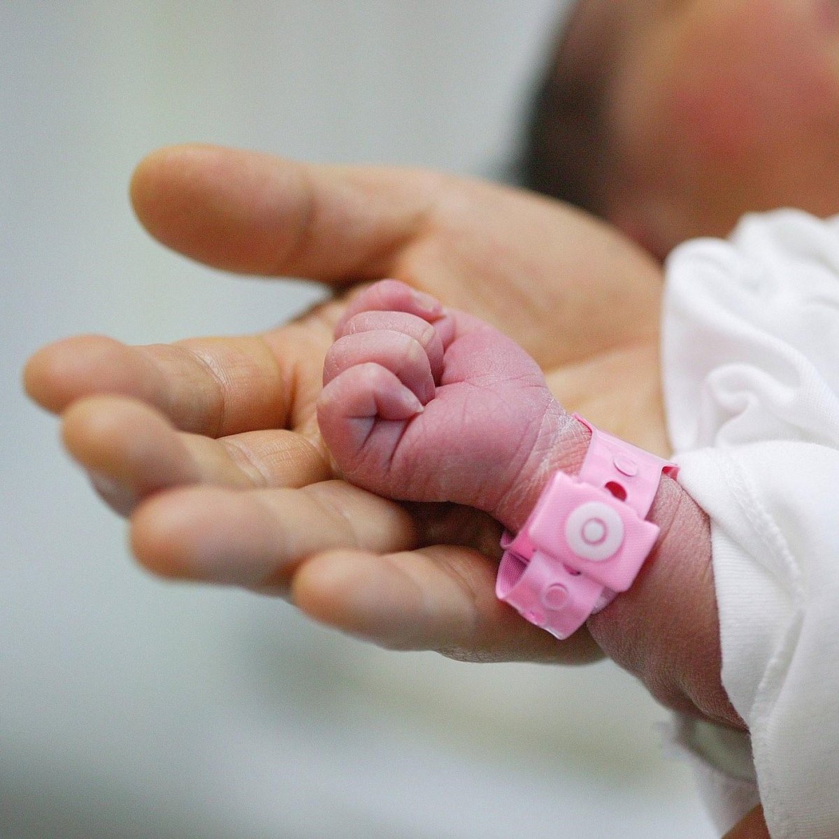 Новорожденные девочки в роддоме