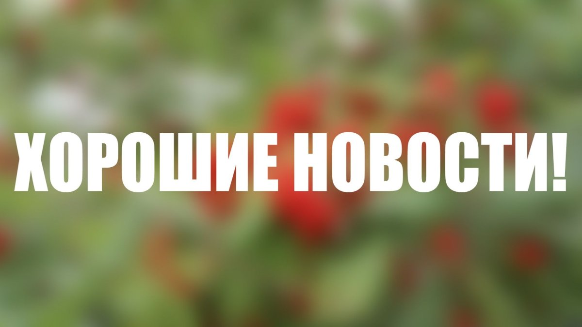 Подпишись на канал