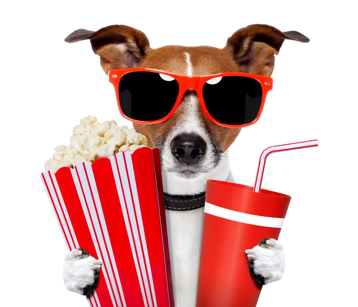 Джек Рассел