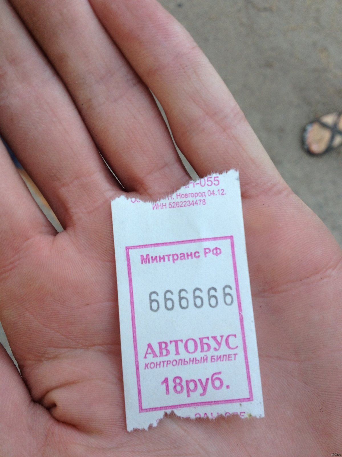 Билет на автобус