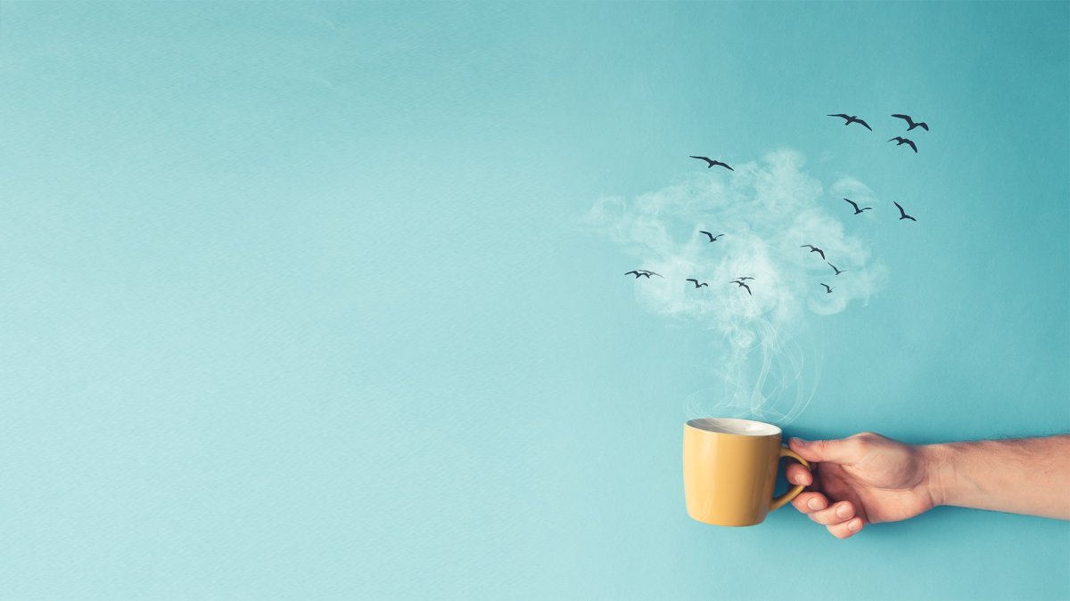 Цитаты утром