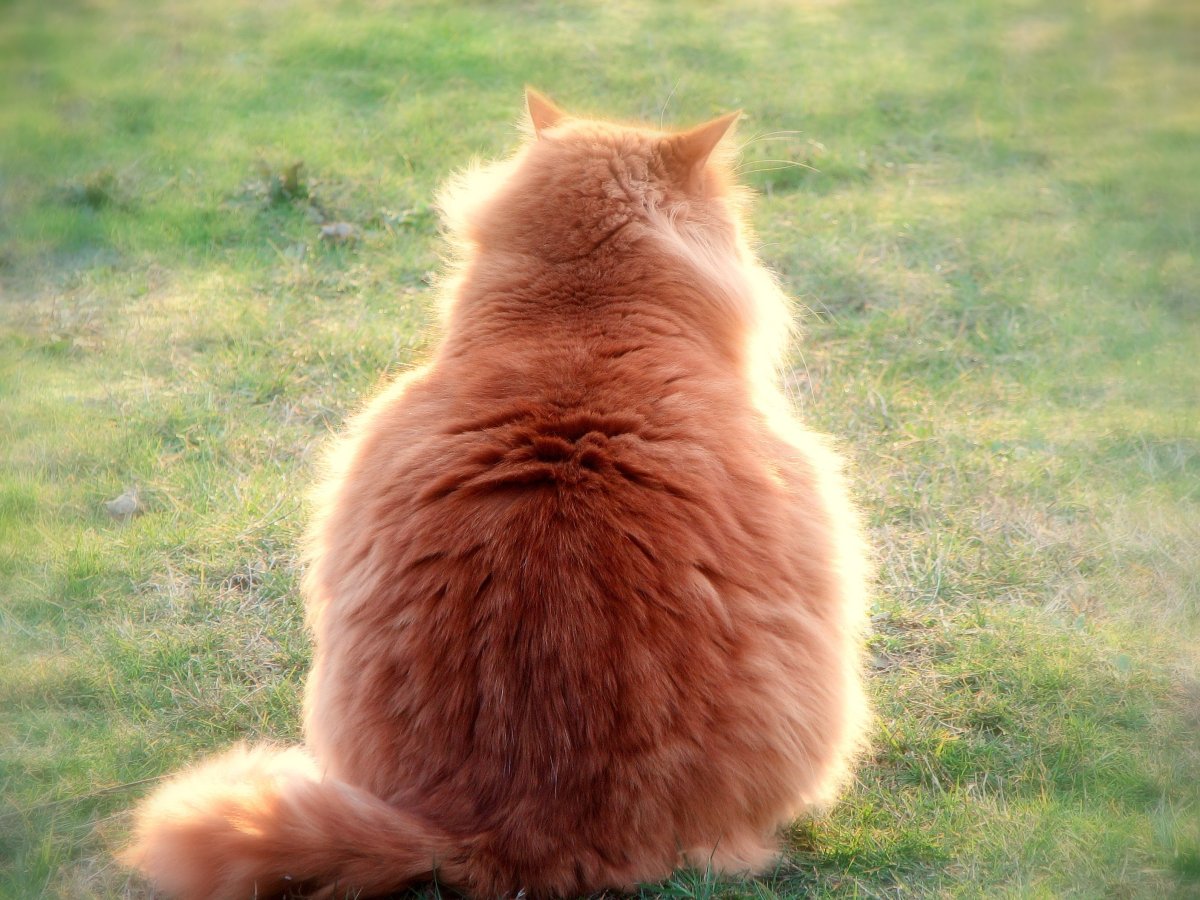 Позитивные высказывания