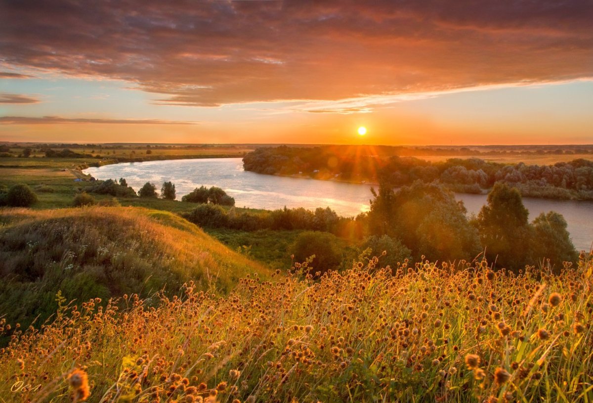 Родные просторы пейзажи Левитан
