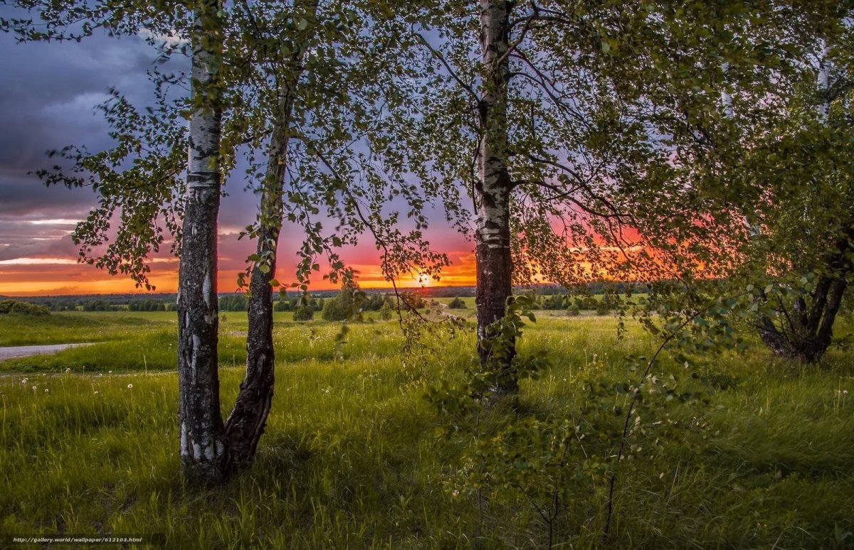 Художник Владислав Кошелев картины