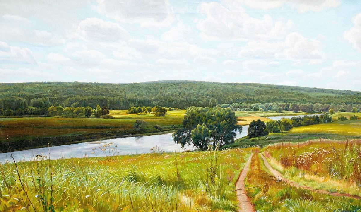 Белоруссия с аистами поле