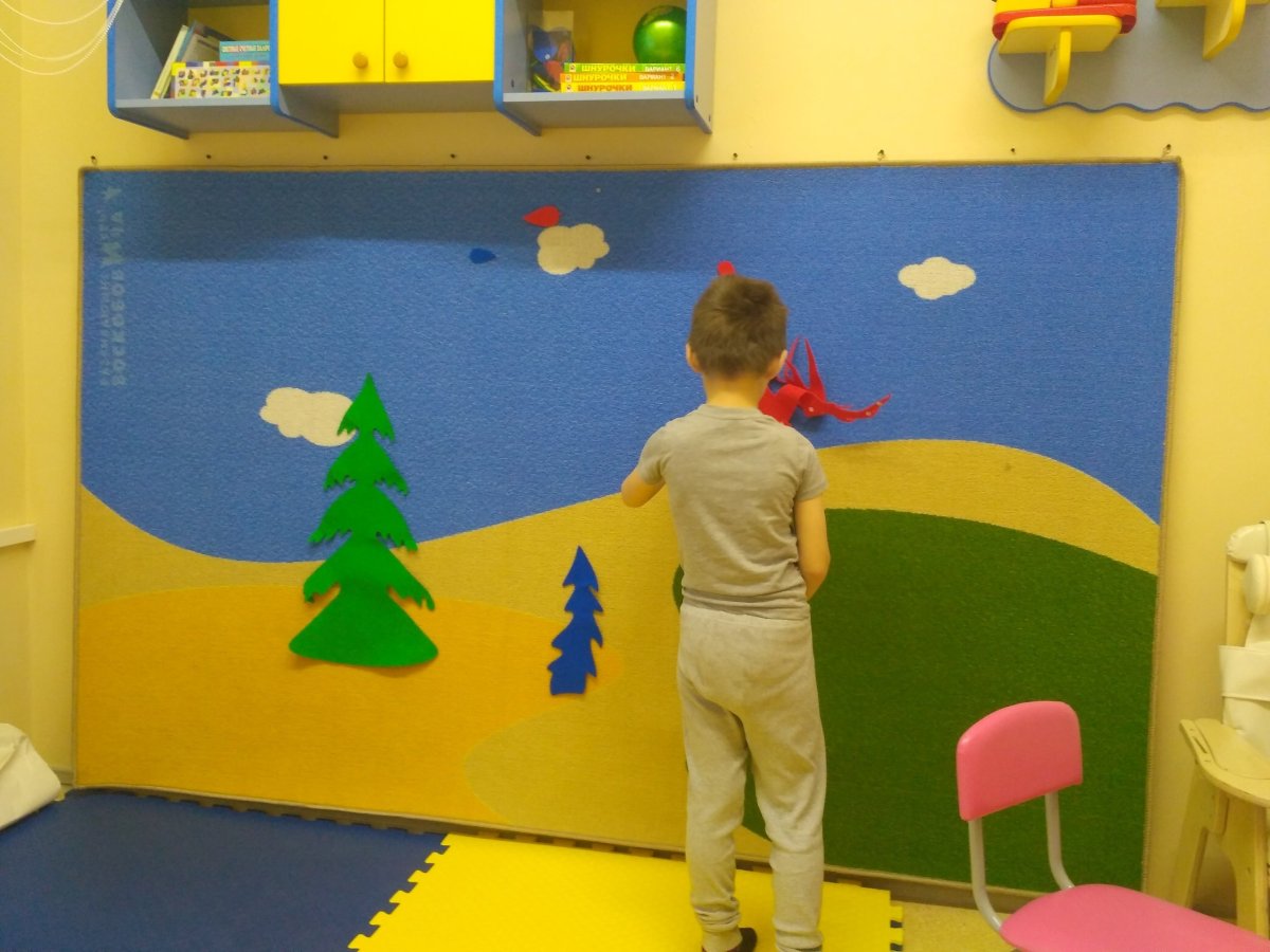 Воскобовича фиолетовый лес Гномы