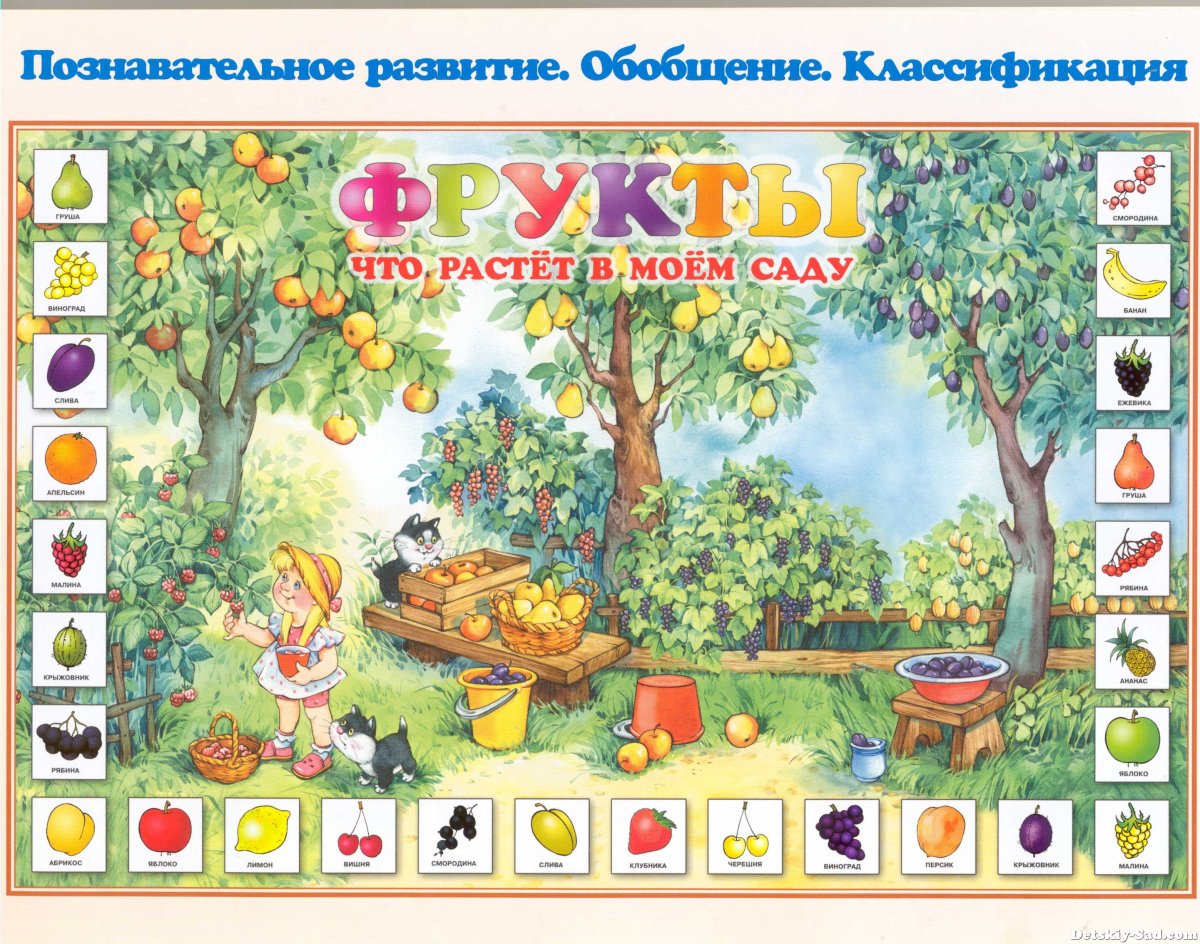 Что растет в саду