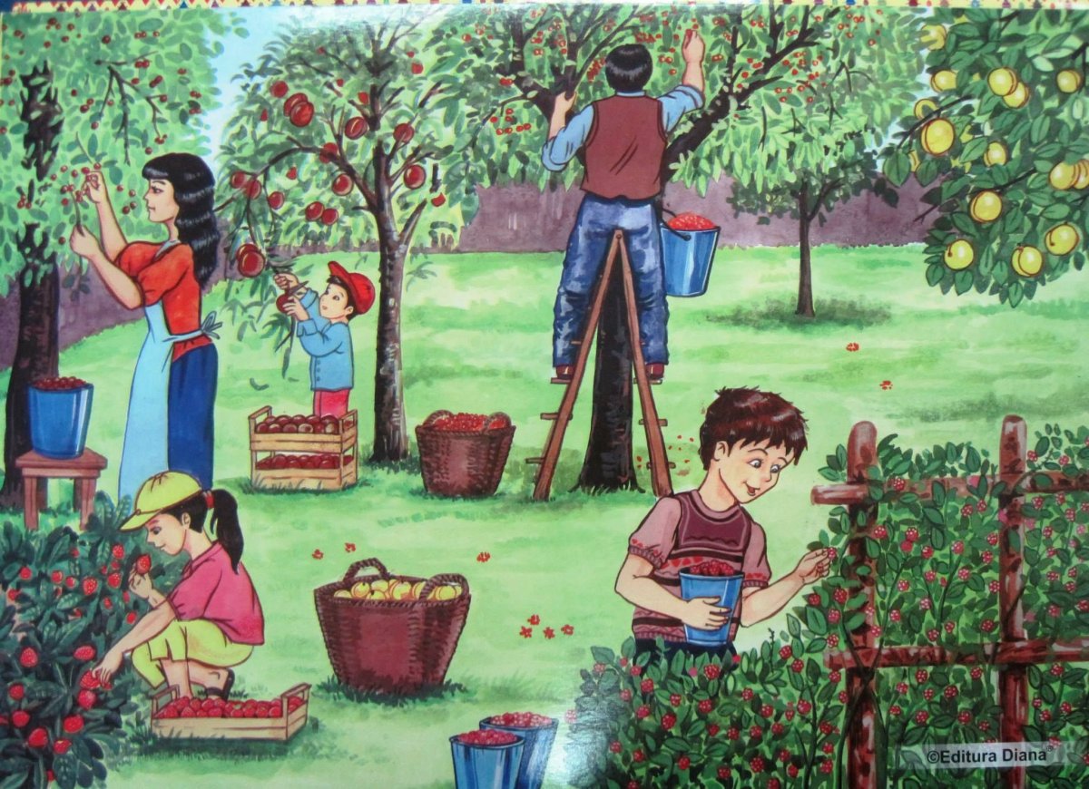 Фрукты занятие для малышей