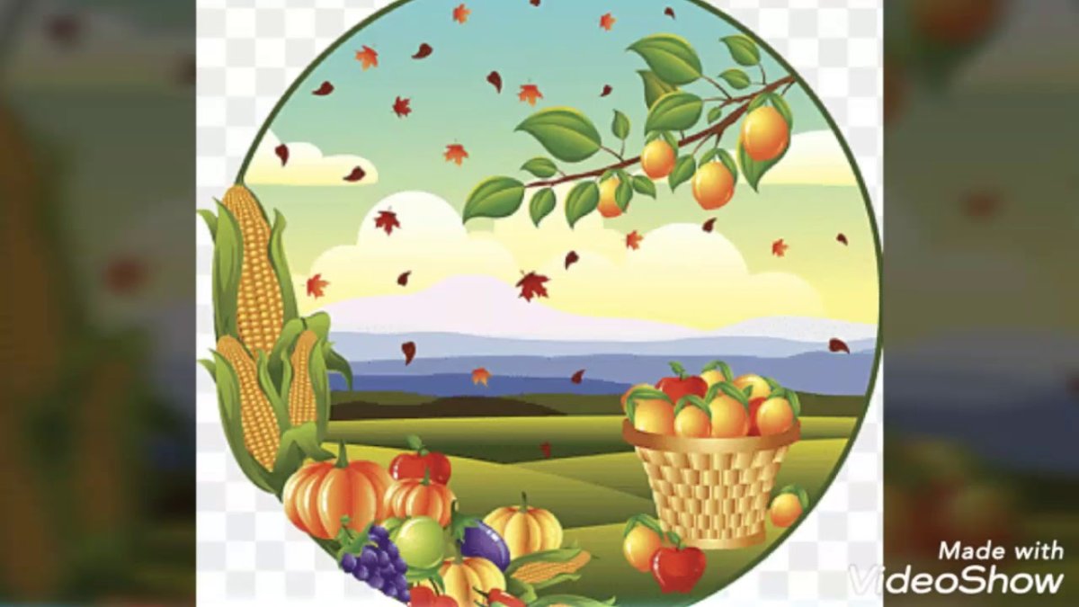 Яблоневый сад в деревне