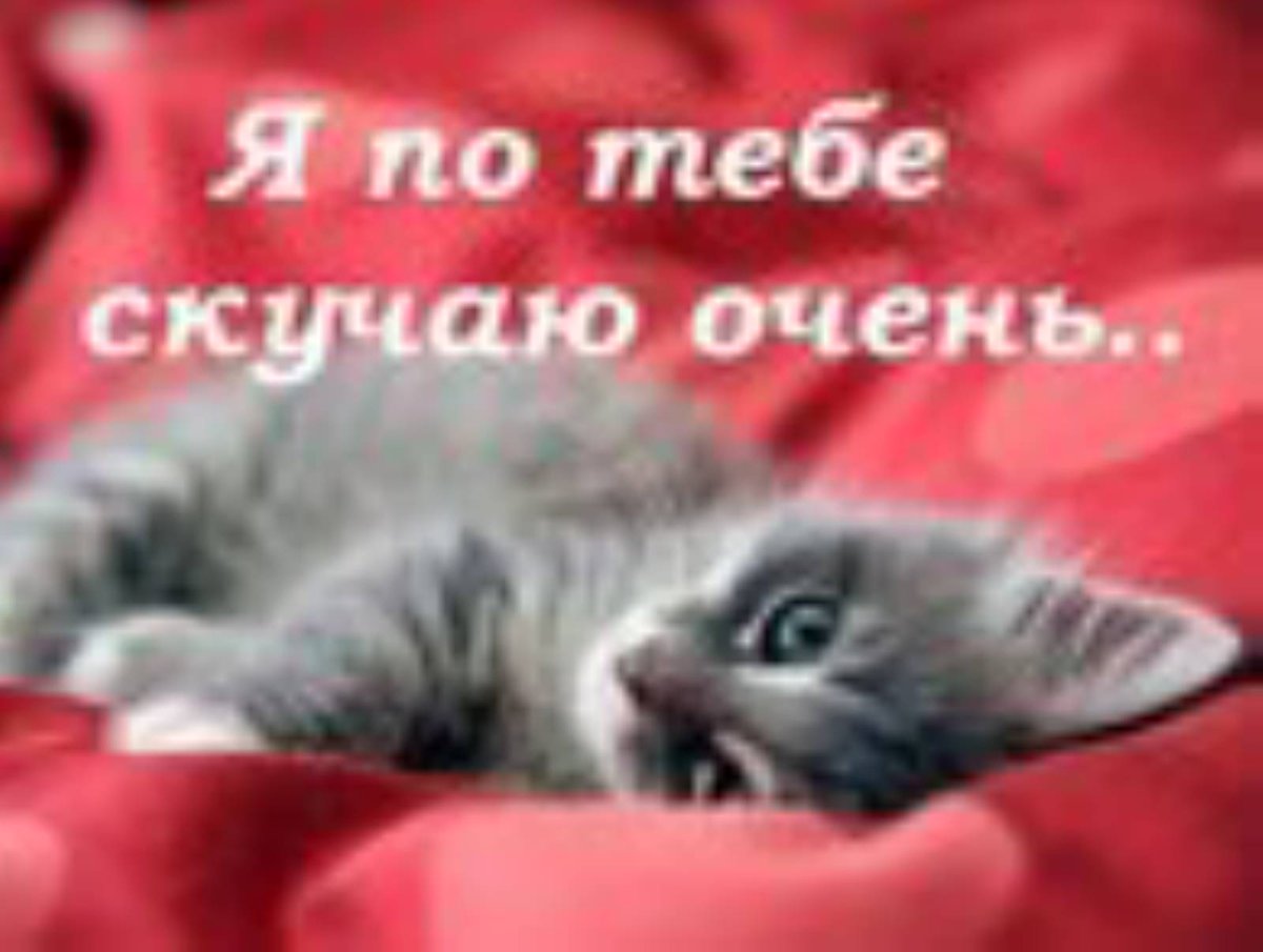 Очень скучаю по тебе