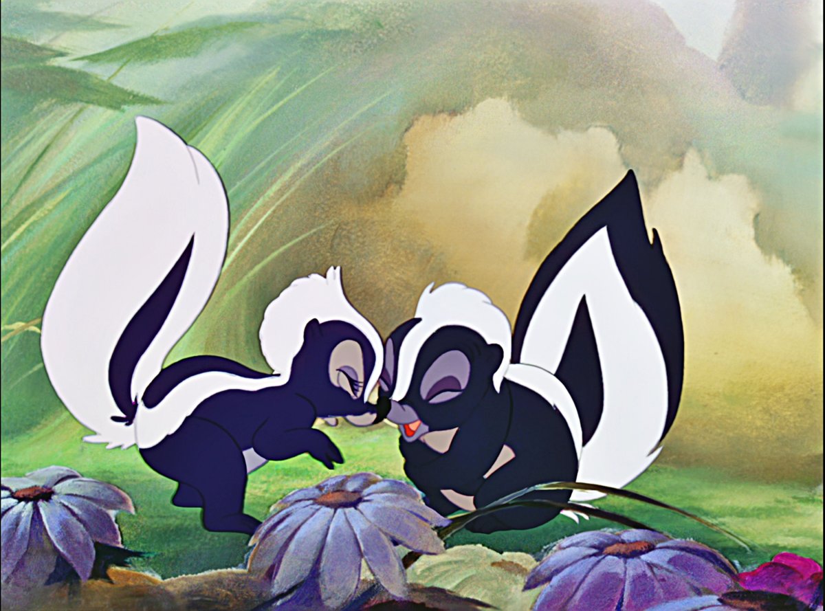 Животные скунс