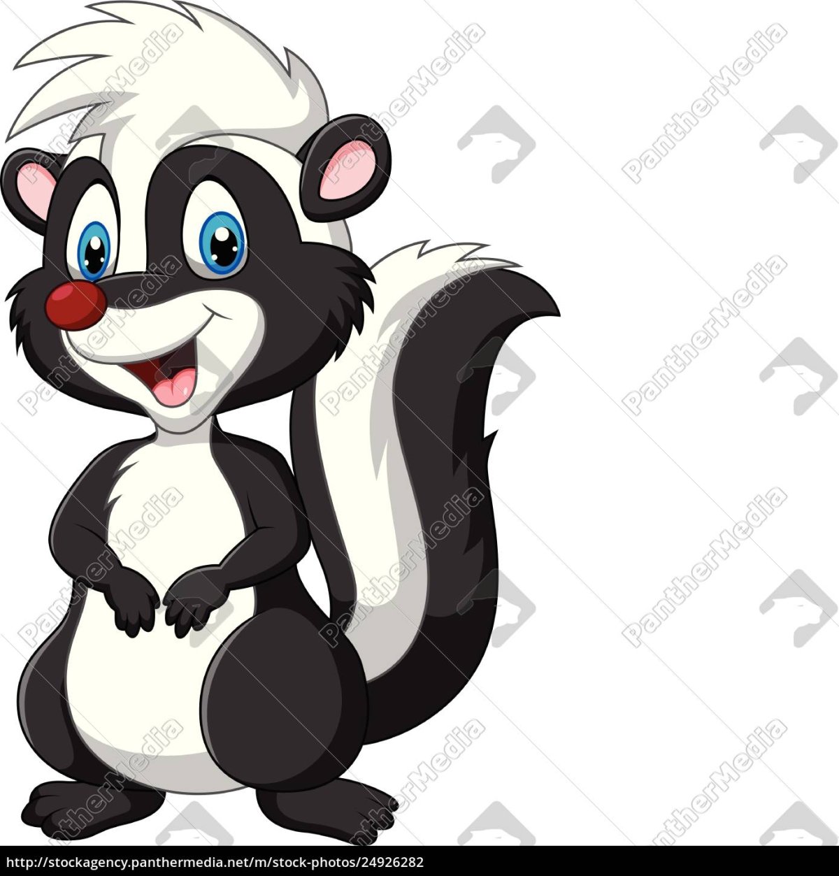 Скунс на белом фоне