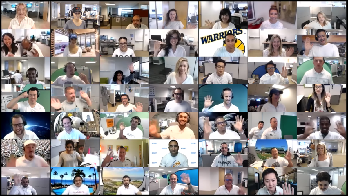 Зум видеоконференция